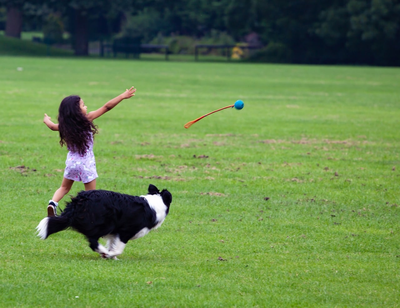 child with dog, child, dog walking