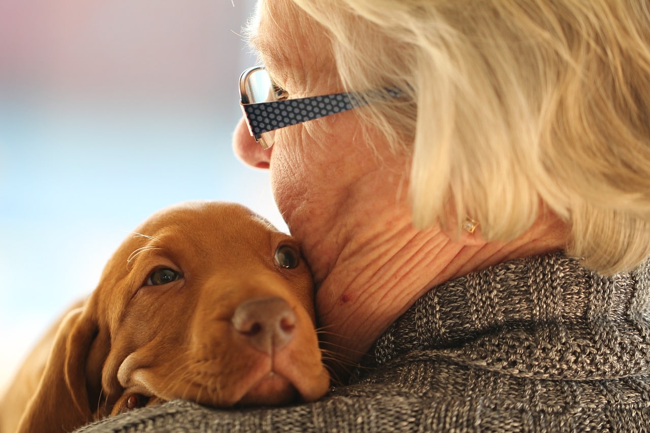 young, old, puppy